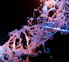 황반변성 증상 원인 치료법