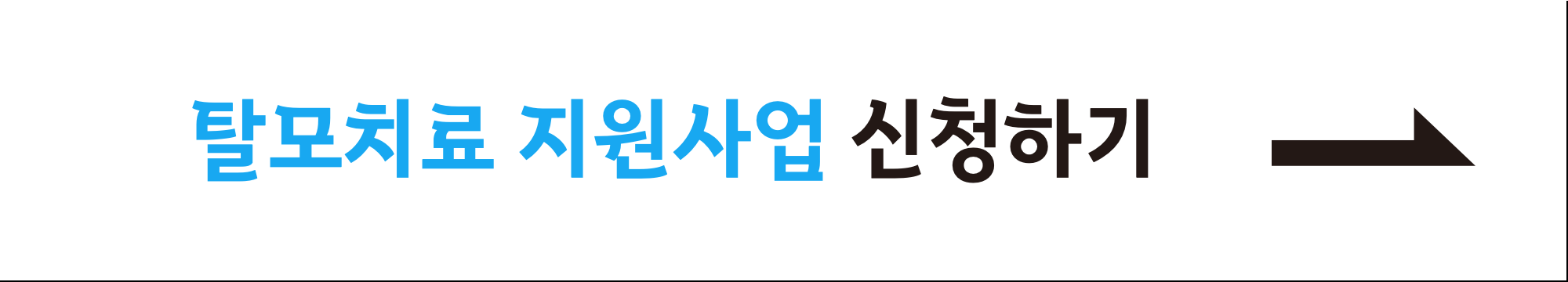 탈모치료