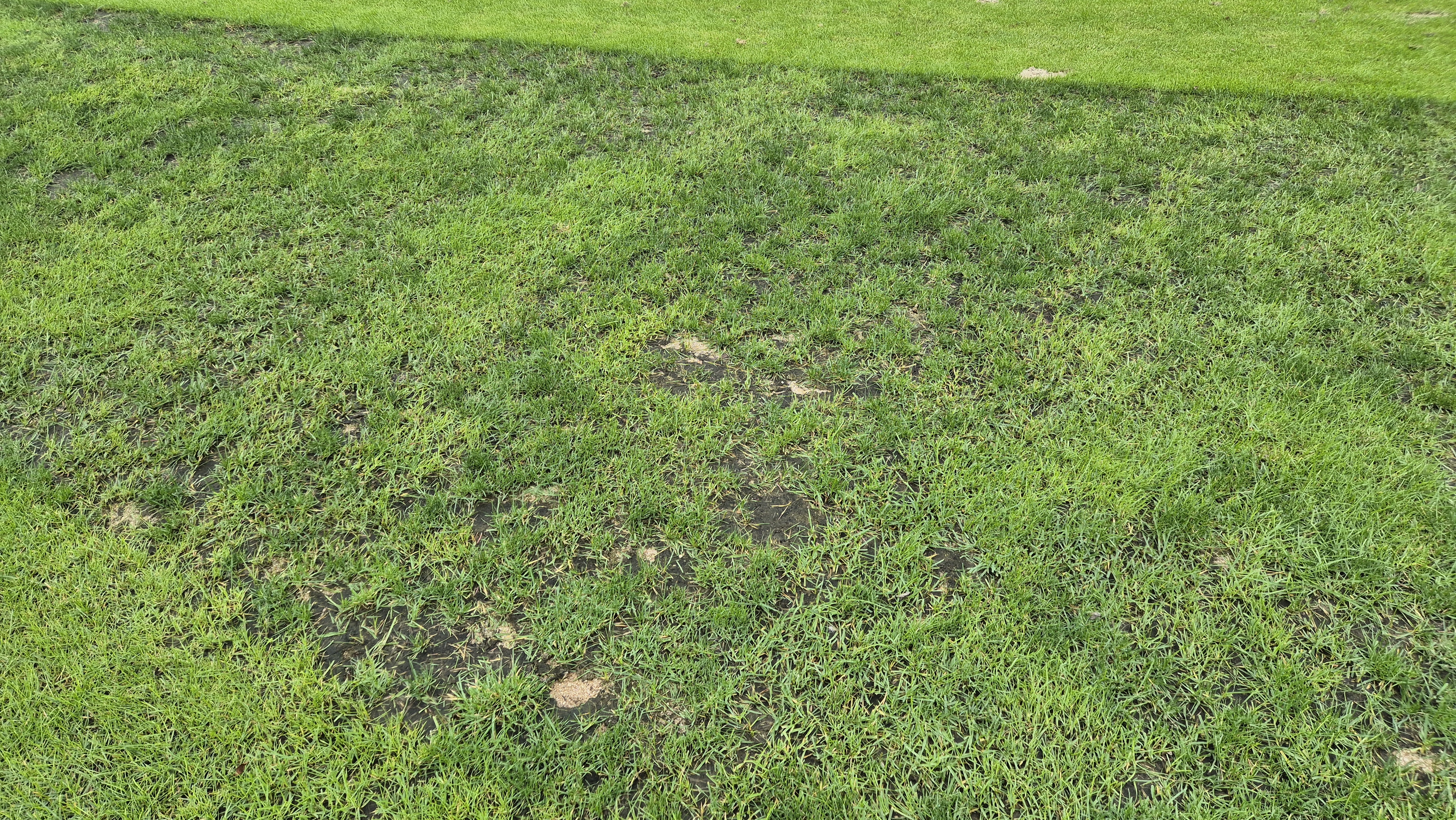 블랙스톤 벨포레cc 코스 관리 상태