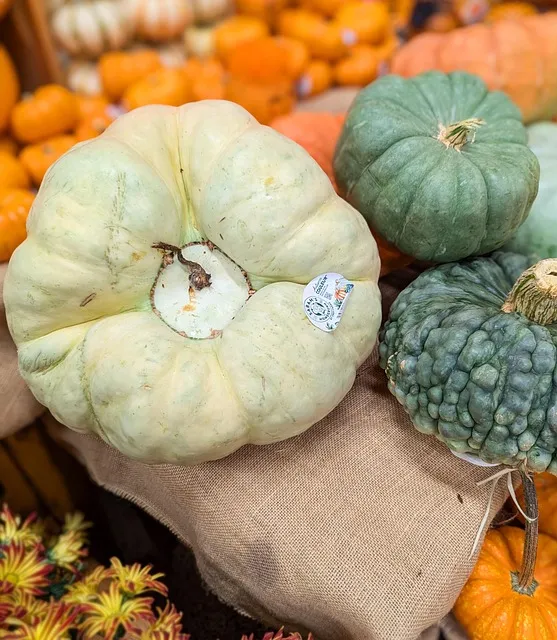 상속세율 계산 방법과 상속세율표로 알아보는 절세 팁_8