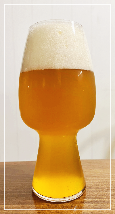 아리 세종 맥주