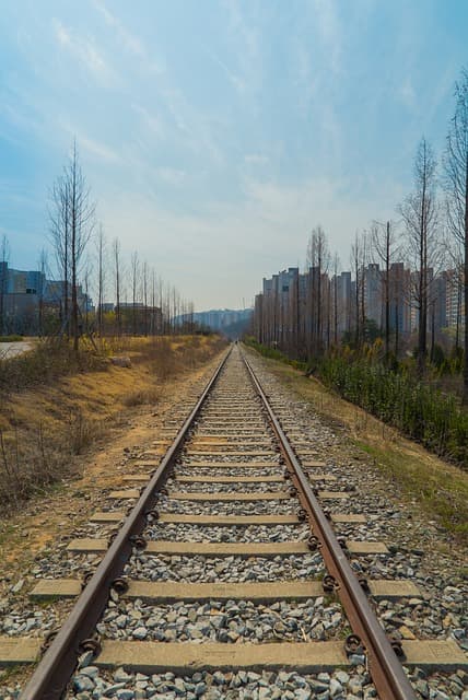전문 여행 플래너의 핵심 역량: 세상을 보는 새로운 시각
