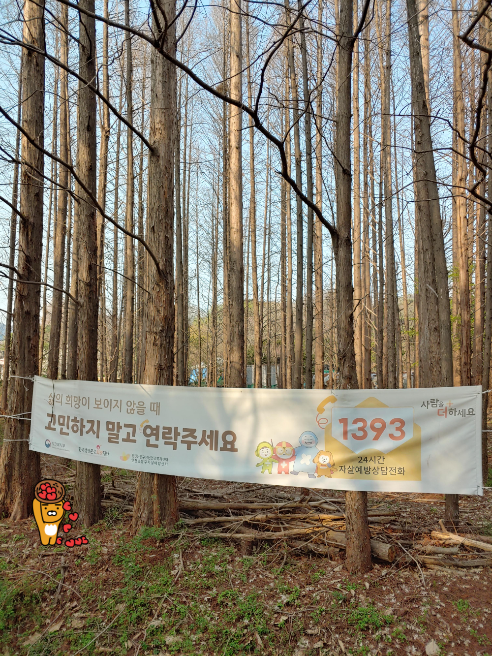 고민하지-말고-연락주세요-1393-@계란마을