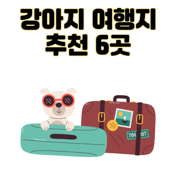 경기도 강아지 동반 여행지 추천 6곳