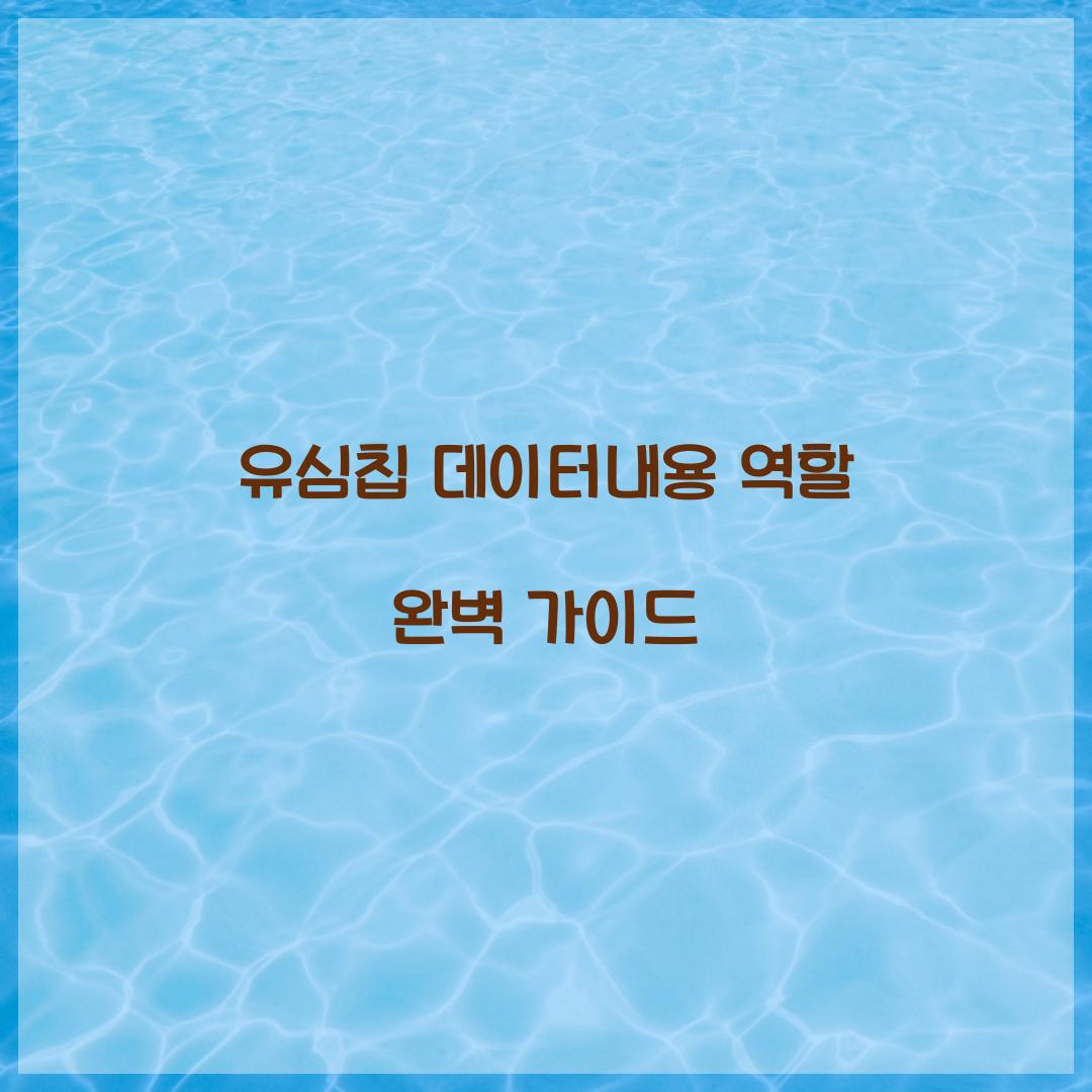 유심칩 데이터내용 역할