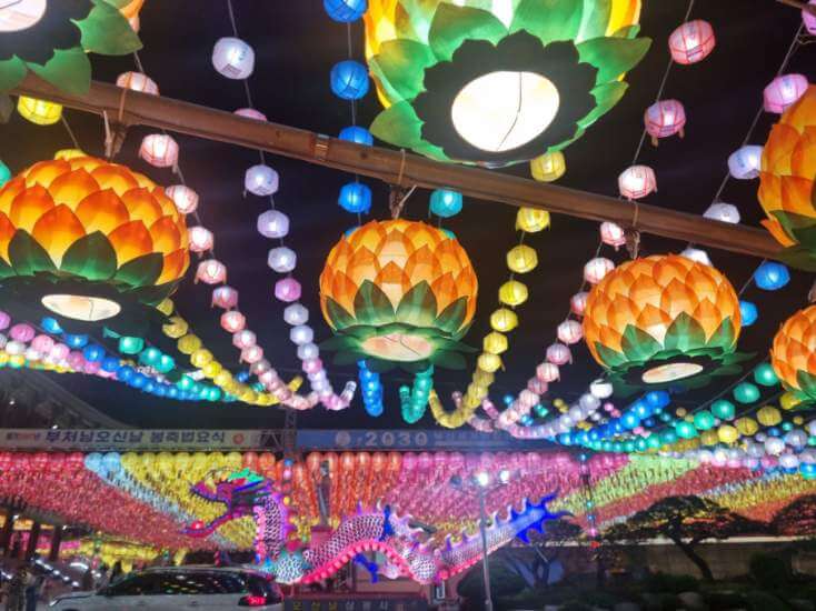 중정에 있는 용 사진 