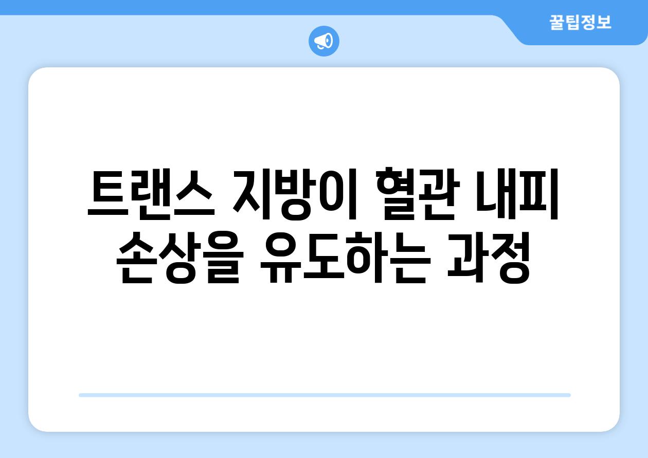 트랜스 지방이 혈관 내피 손상을 유도하는 과정