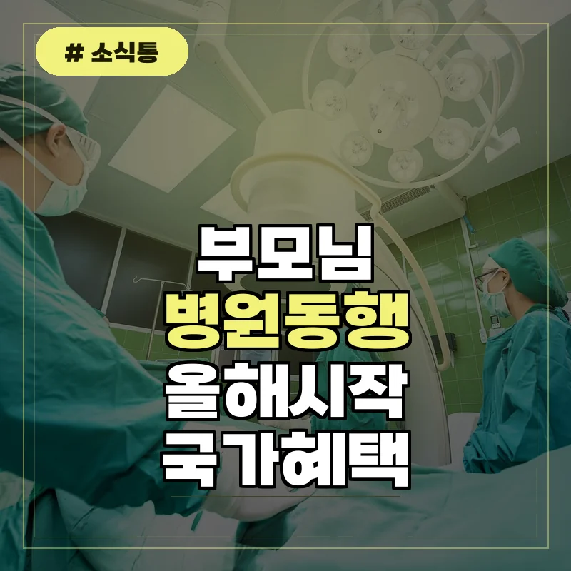 부모님 병원 동행 고민이라면 올해 시작된 병원동행 지원사업