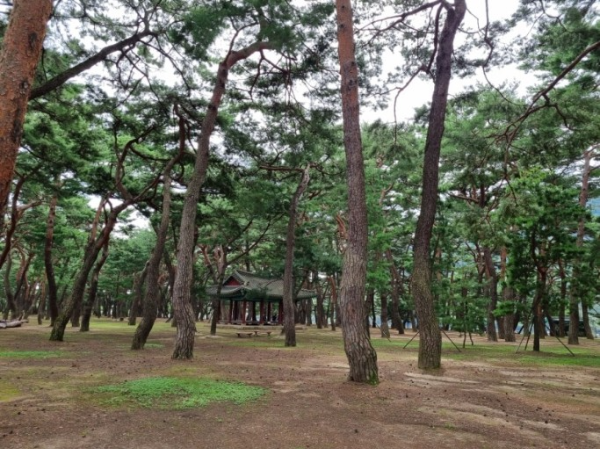 하동송림공원