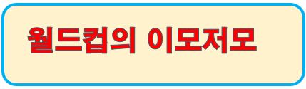 월드컵의 이모저모