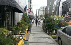 방배동 카페거리 이미지