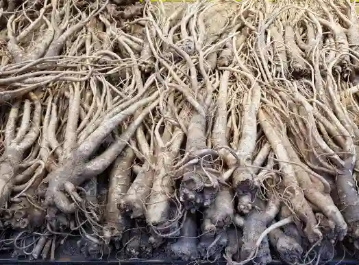 도라지의 효능&amp;#44; 건강에 좋은 이유 10가지