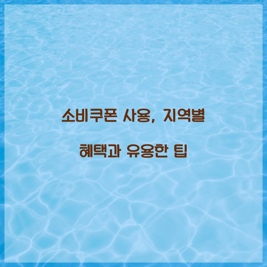 소비쿠폰 사용