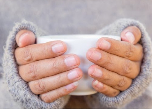 수족냉증에 좋은 음식