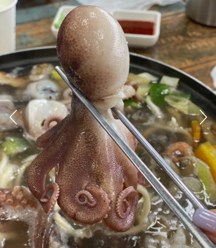 당진-안섬포구-낙지칼국수