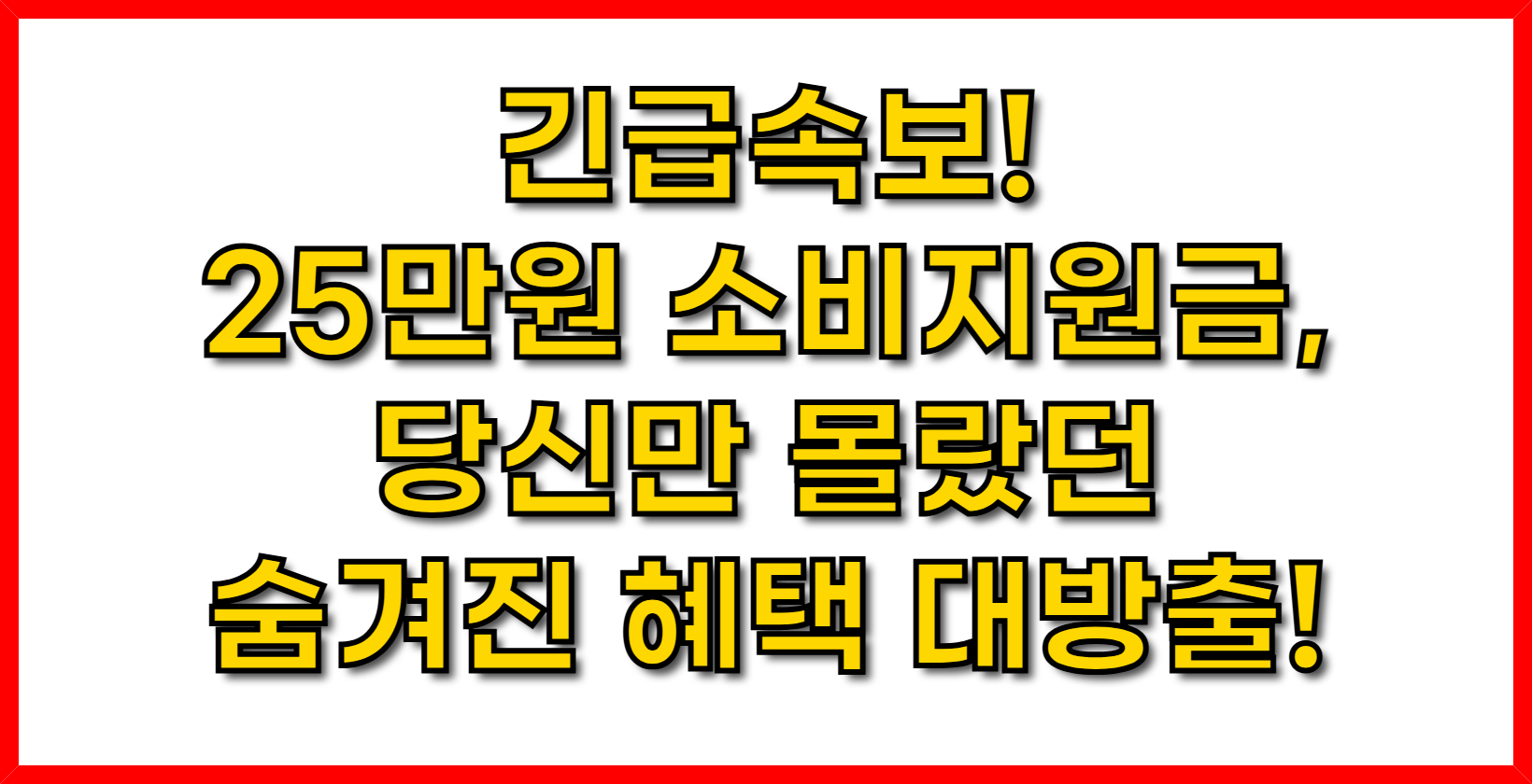 긴급속보! 25만원 소비지원금, 당신만 몰랐던 숨겨진 혜택 대방출! (feat. 13조 예산의 행방)