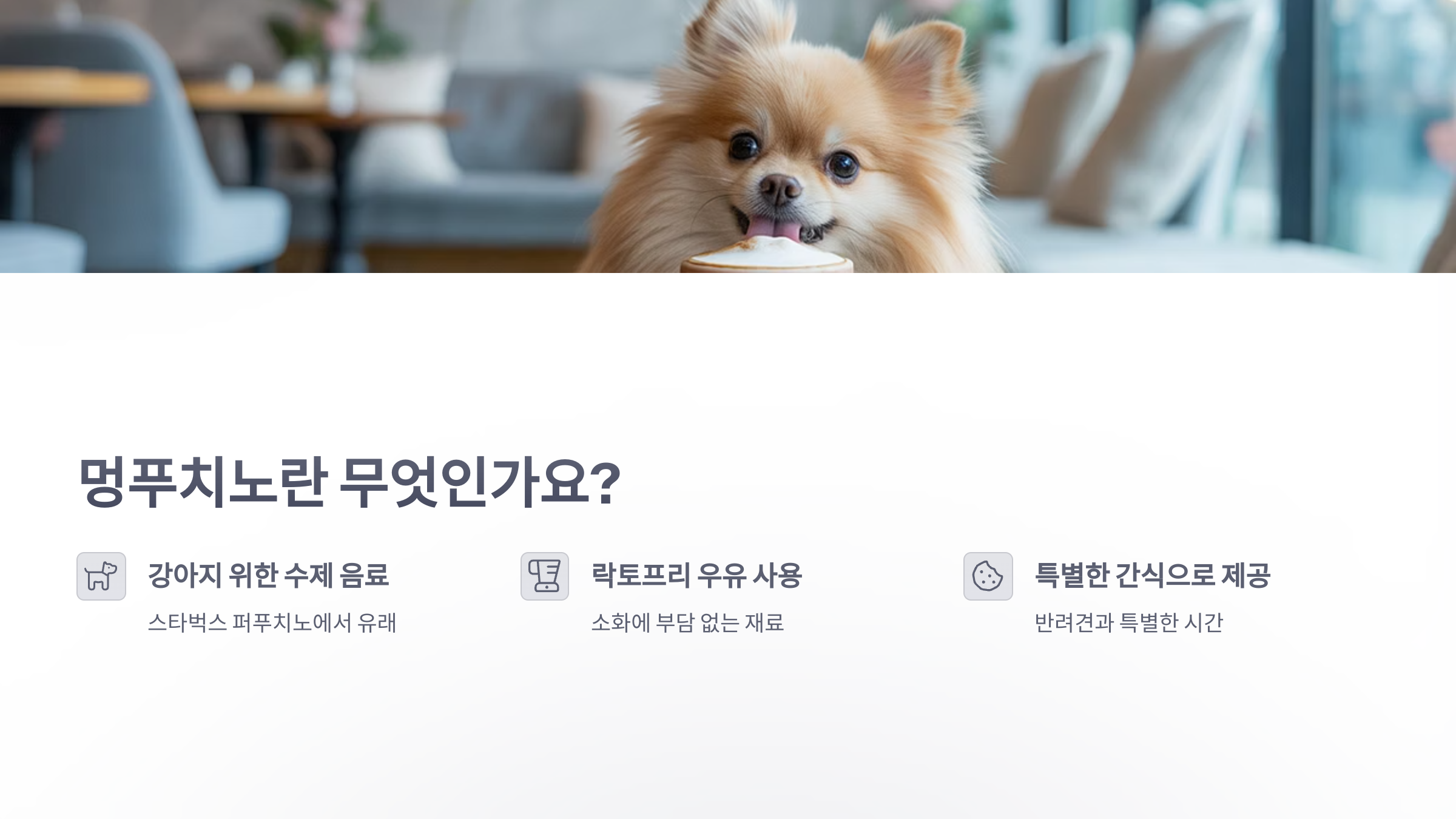 참조-멍푸치노-2