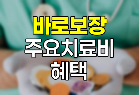 암보험 2대질병보험 바로보장 주요치료비 혜택