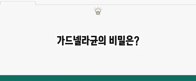 가드넬라균 증상 및 치료법: 여성 질염 원인과 예방