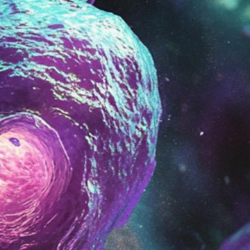 백혈구 정상수치와 수치 올리는 음식