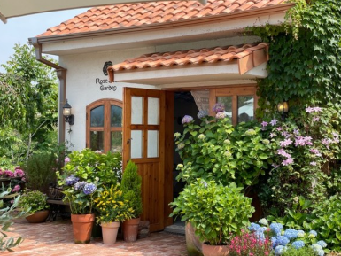 수도권 수국명소 추천 7곳, 도심 속에서 만나는 수국의 향연