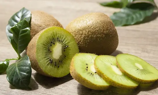 강아지가 먹어도 되는 과일 키위 사진