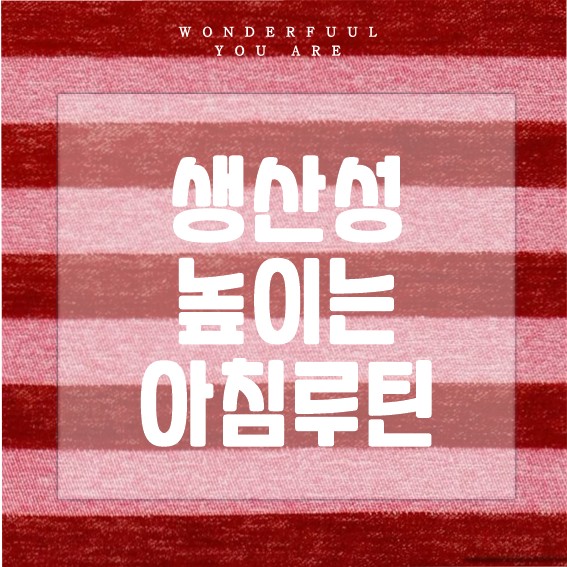 생산성을 높이는 아침 루틴 추천과 실천법