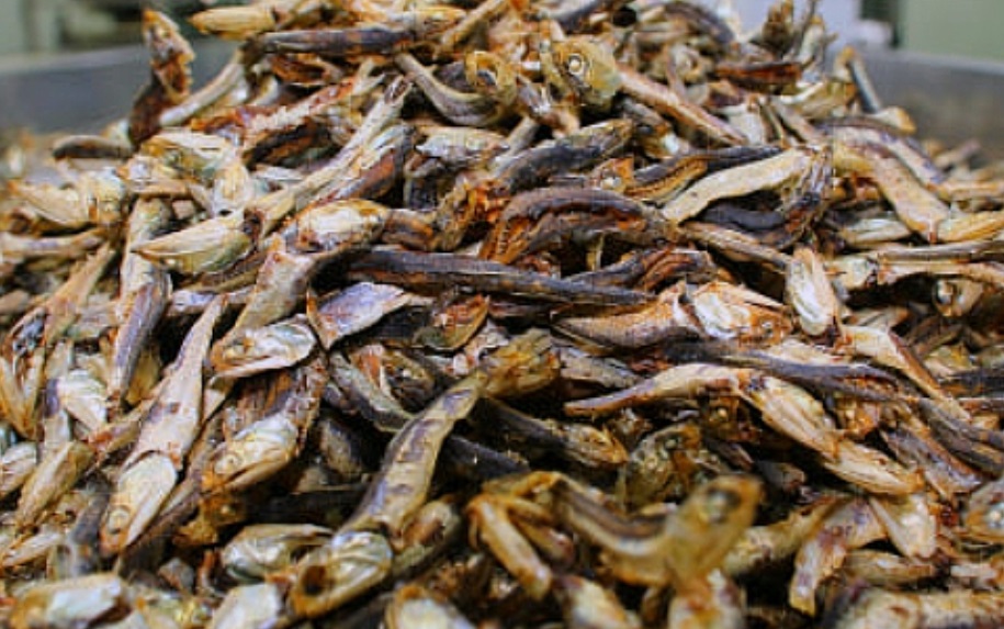 통영-멸치-해성씨푸드-훈연멸치