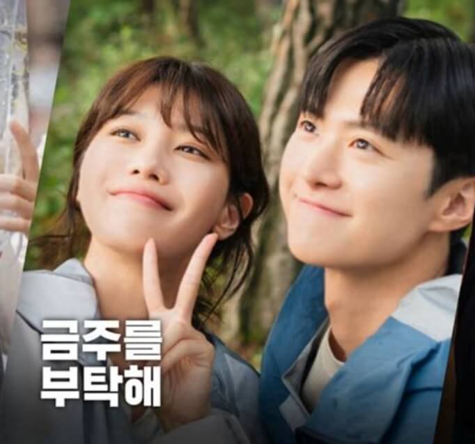 tvN 드라마 금주를 부탁해 드라마 소개 및 출연진 인스타그램 촬영지 OTT정보