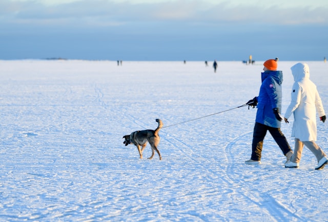 전쟁기념관 어린이박물관 예약 대기 꿀팁
