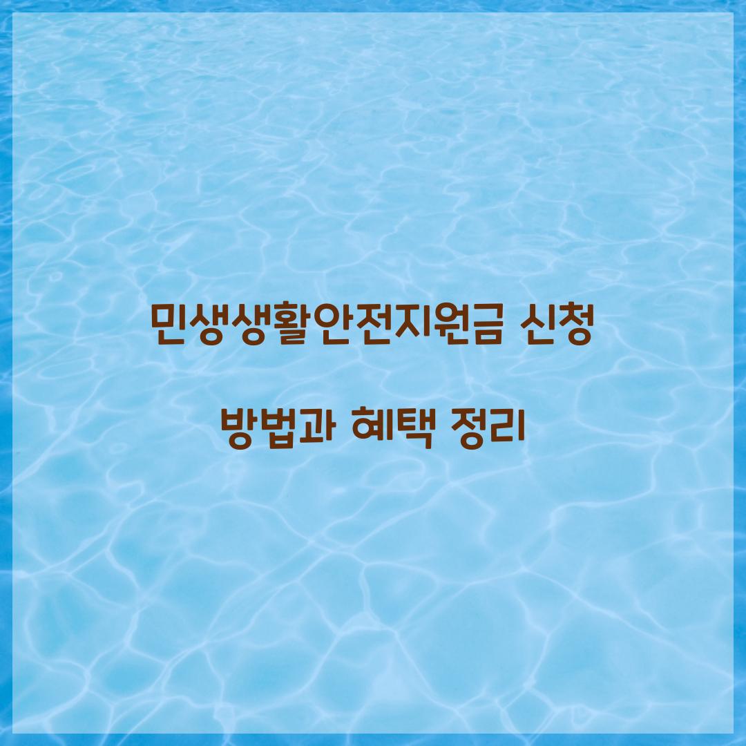 민생생활안전지원금