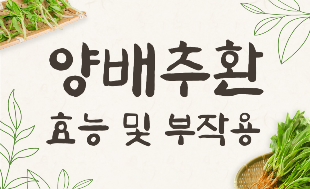 양배추환 부작용 피해가는 복용법, 효능 극대화 팁