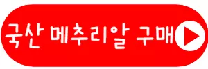 메추리알