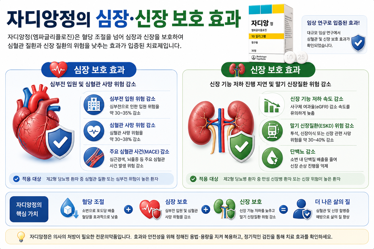 자디앙정-심장보호-신장보호-심부전-만성신장병-효과