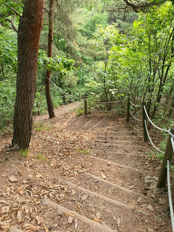등산코스 하산길
