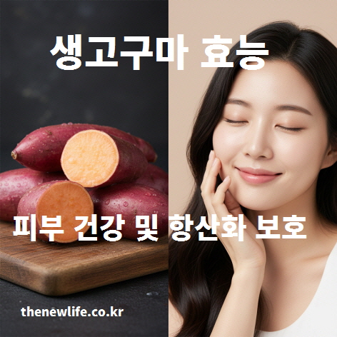 생고구마 효능 – 피부 건강과 항산화 효과 설명 이미지