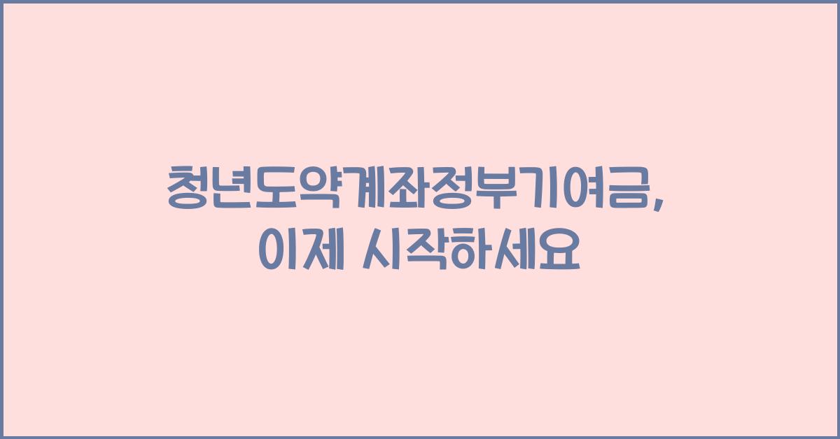 청년도약계좌정부기여금