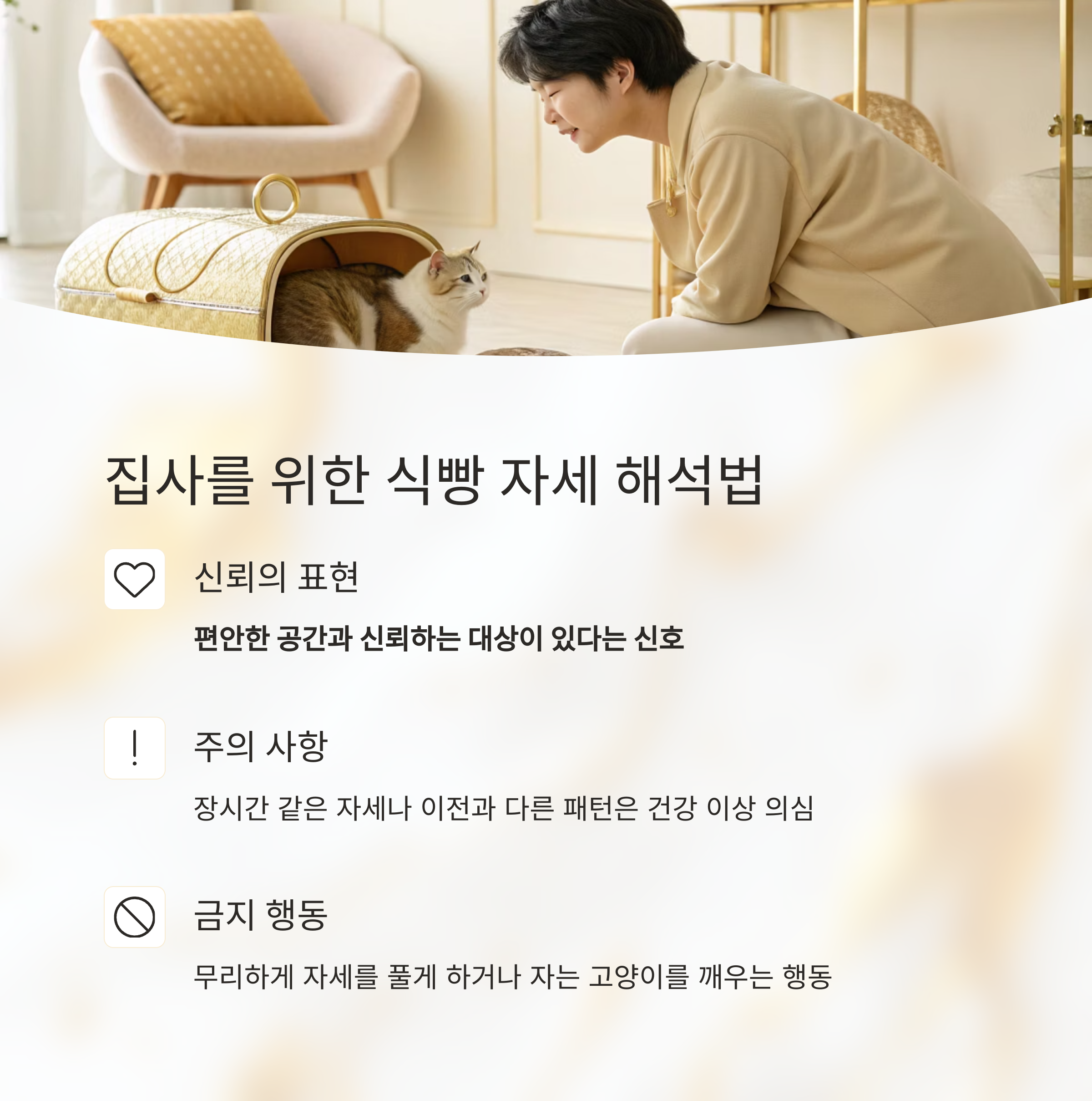 집사를 위한 식빵 자세 해석법