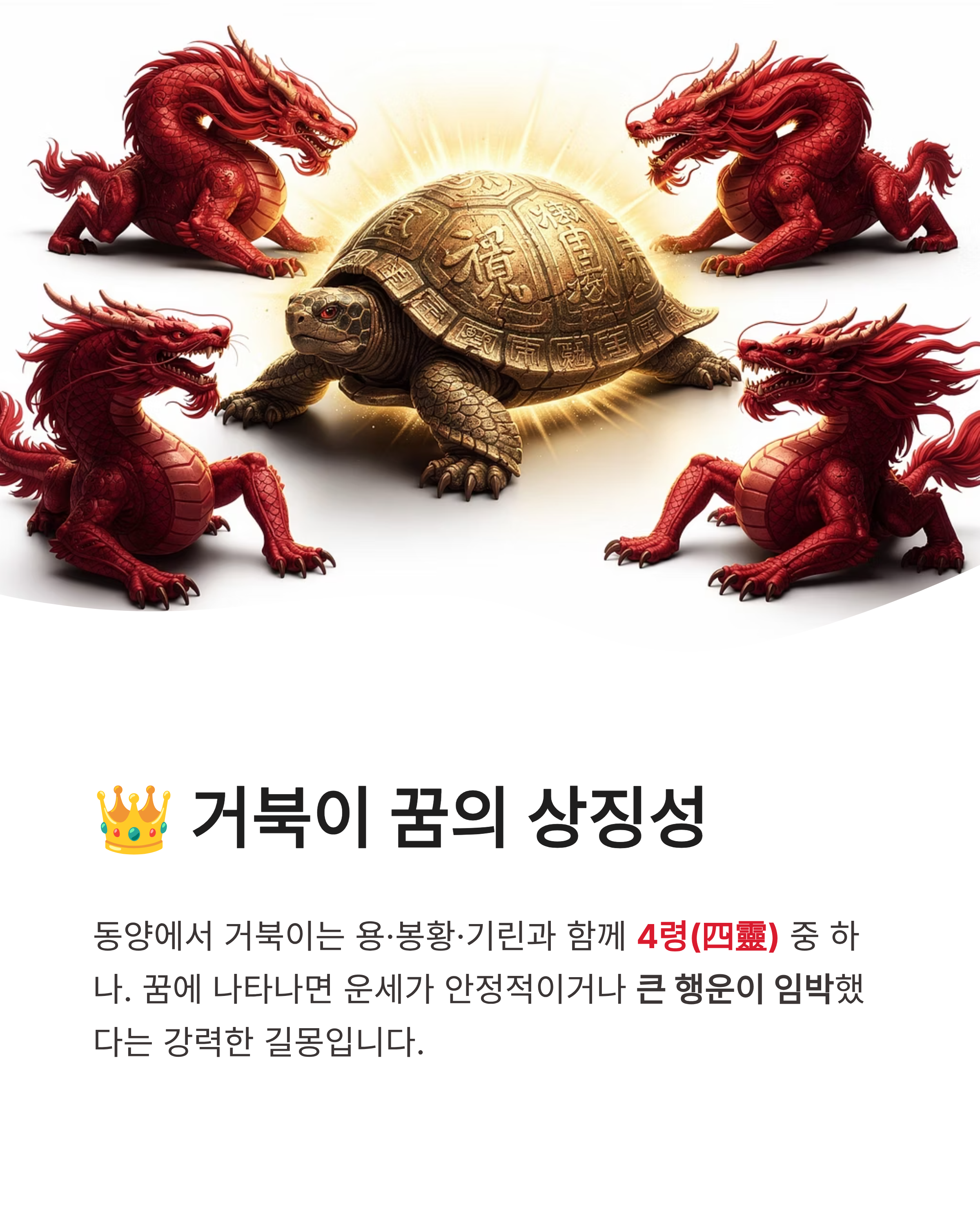 거북이 꿈 해몽 ❘ 집으로 들어오는 큰 거북이 만지는 꿈까지? 장수와 대박 재물운의 상징 완벽 정리!