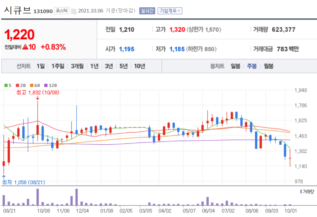 백신패스 관련주 대장주
