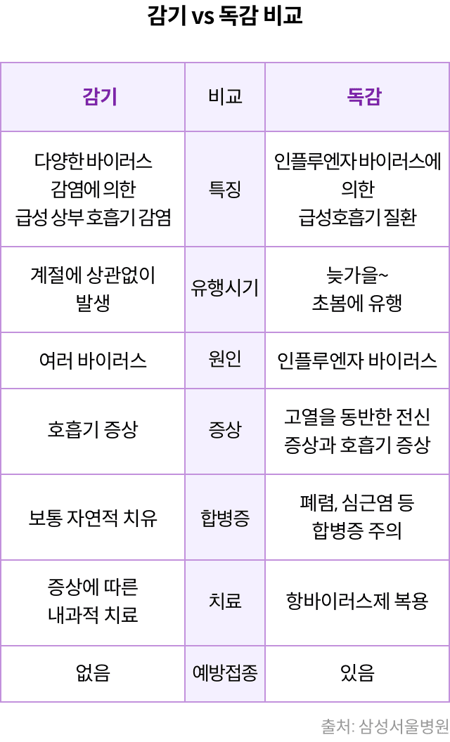 독감과 감기 차이