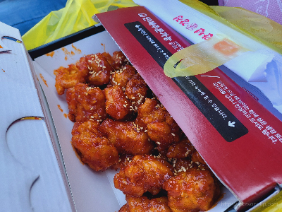 한화이글스-갤러리-선수명단-티켓예매-경기일정-유니폼-파크-감독-우승연도-연습경기중계-연복협상-신구장이름