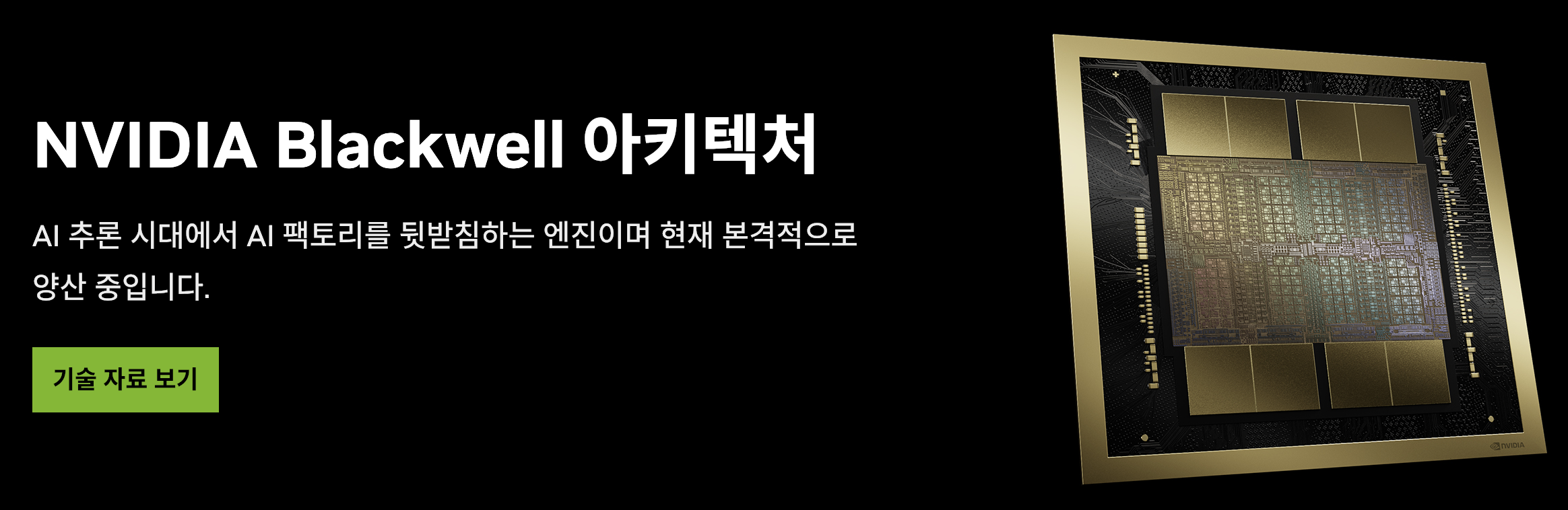 엔비디아의 블랙웰 설명 페이지