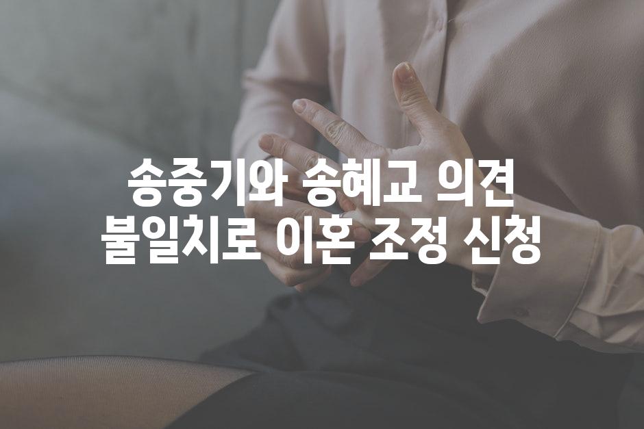 송중기와 송혜교 의견 불일치로 이혼 조정 신청
