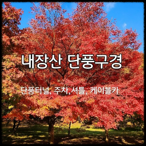 2024 가을, 국내 단풍 명소 추천: 절정 시기와 여행 팁까지 완벽 가이드