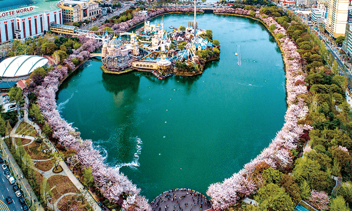 벚꽃 축제 일정