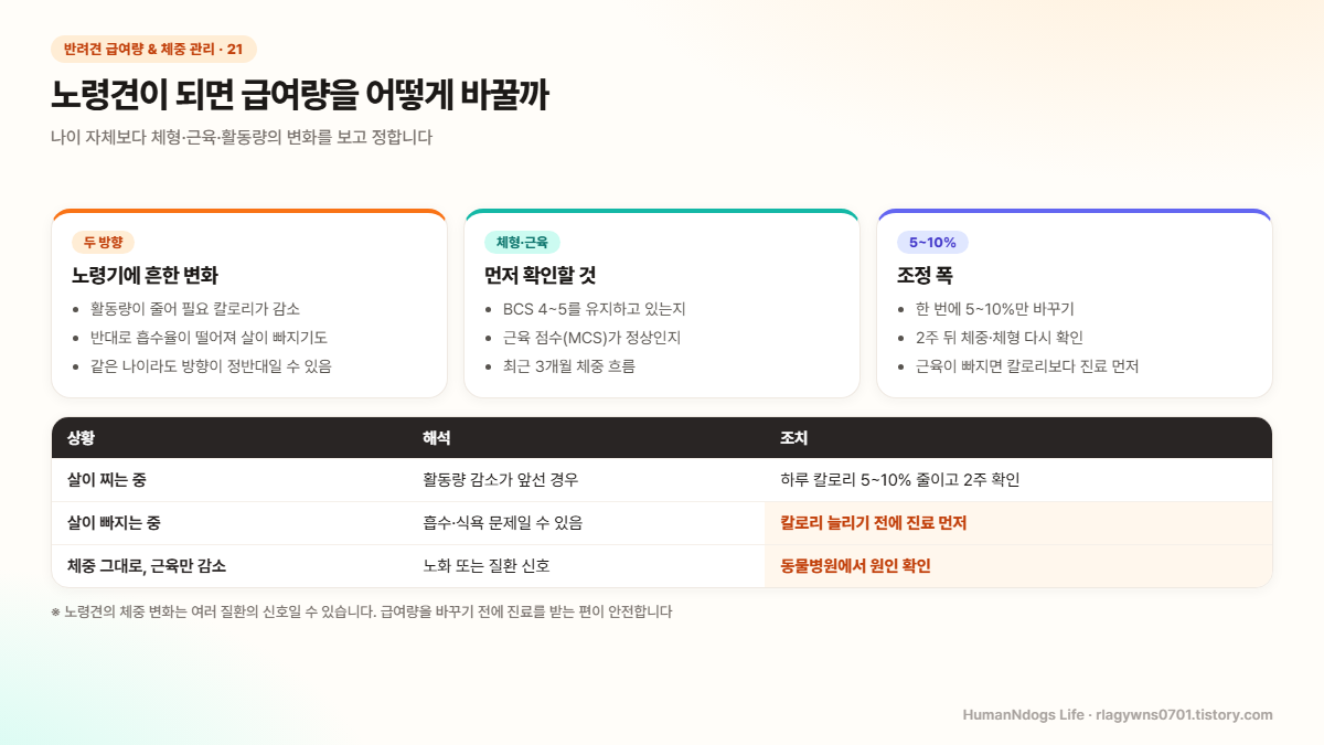 노령견 급여량 조정 도식 &mdash; 나이보다 체형&middot;근육&middot;활동량 변화를 보고 정하기