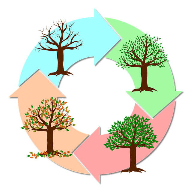 생의전환기, 소울넘버, 타로카드