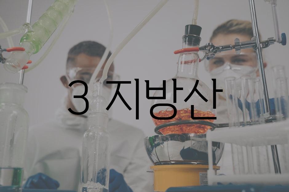3 지방산
