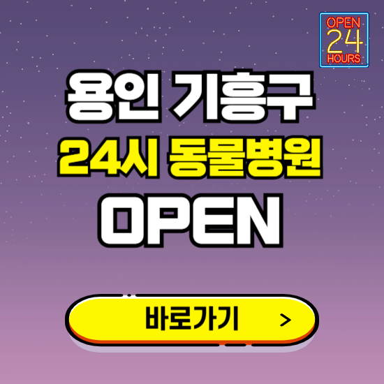 용인시 기흥구 24시 동물병원 진료하는 곳 ❘ 설날 휴일 야간 심야 문여는곳 찾기 ❘ 응급진료